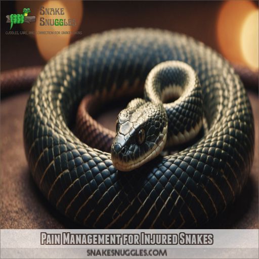 Pain Management for Injured Snakes