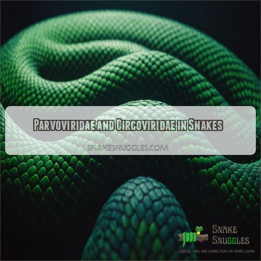 Parvoviridae and Circoviridae in Snakes