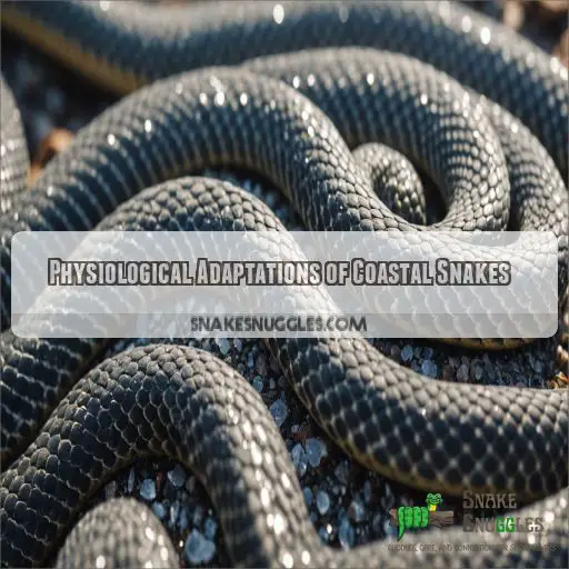 Physiological Adaptations of Coastal Snakes