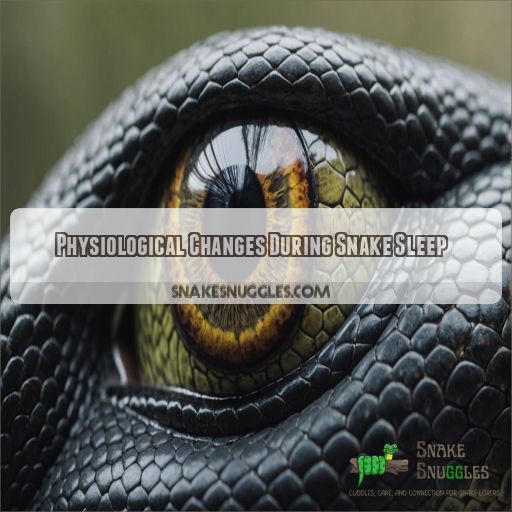 Physiological Changes During Snake Sleep