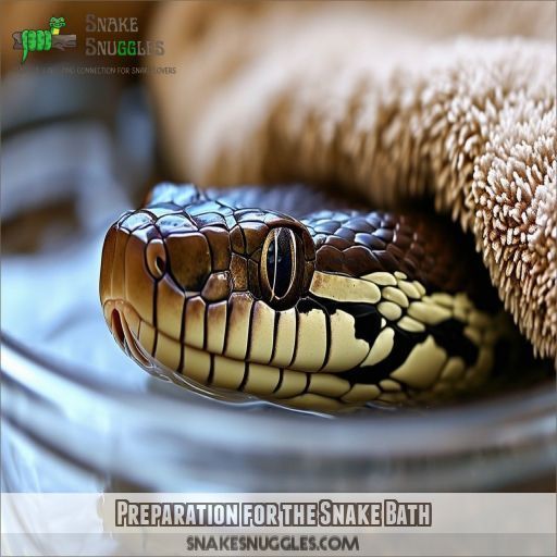 Preparation for the Snake Bath