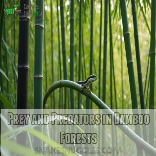 Prey and Predators in Bamboo Forests