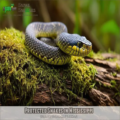 Protected Snakes in Mississippi