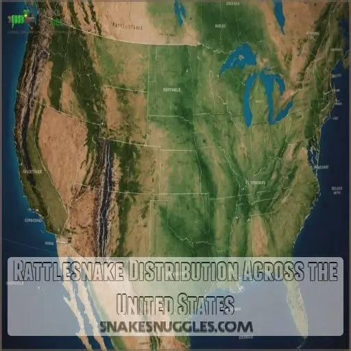 Rattlesnake Distribution Across the United States