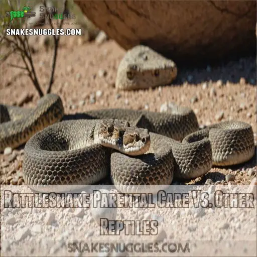 Rattlesnake Parental Care Vs. Other Reptiles