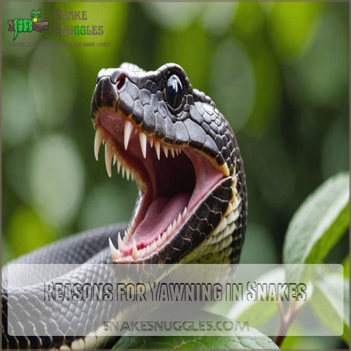 Reasons for Yawning in Snakes