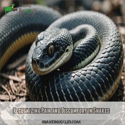 Recognizing Pain and Discomfort in Snakes