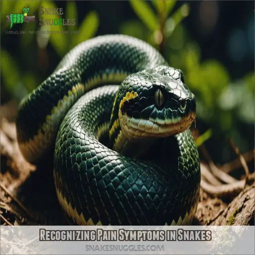 Recognizing Pain Symptoms in Snakes