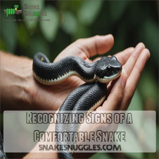 Recognizing Signs of a Comfortable Snake