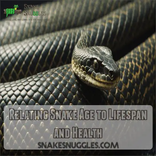 Relating Snake Age to Lifespan and Health