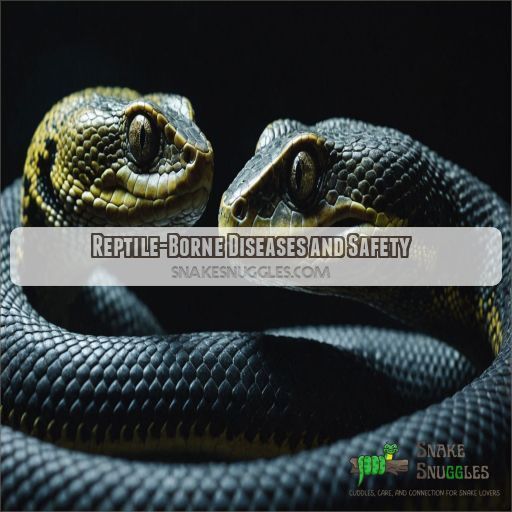 Reptile-Borne Diseases and Safety