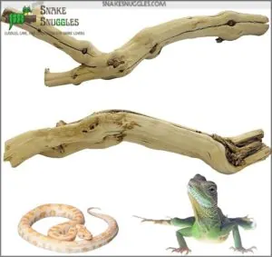 Reptile Branch Decor 2 Pack B0D3TFJH6C