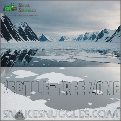 Reptile-Free Zone