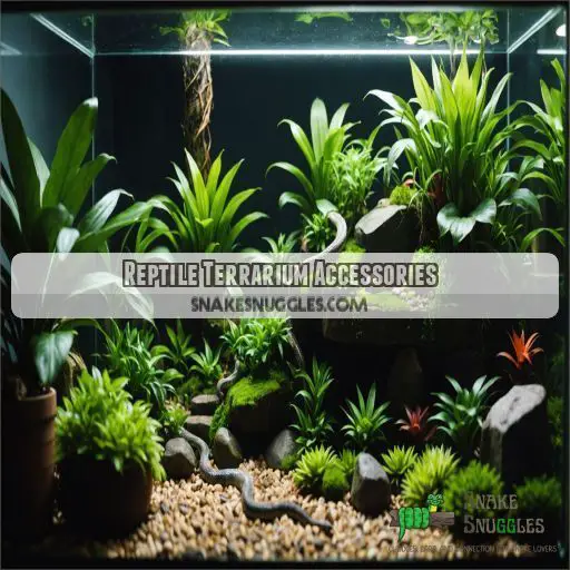 Reptile Terrarium Accessories