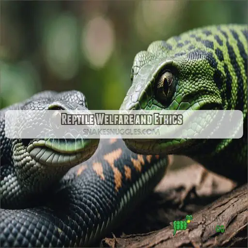 Reptile Welfare and Ethics