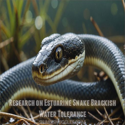 Research on Estuarine Snake Brackish Water Tolerance