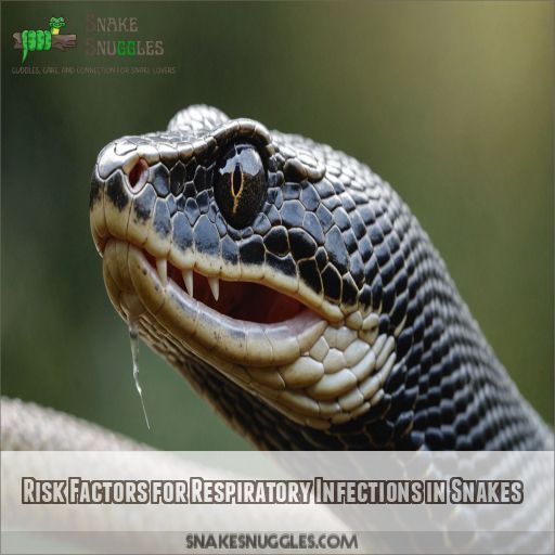 Risk Factors for Respiratory Infections in Snakes