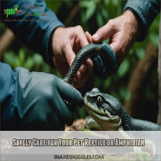 Safely Care for Your Pet Reptile or Amphibian