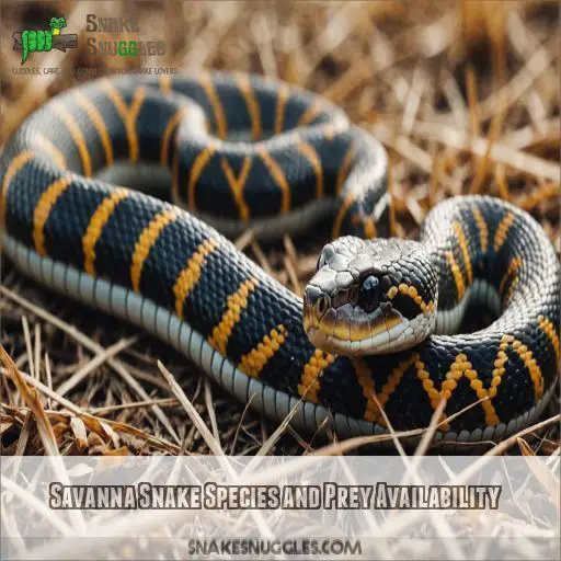 Savanna Snake Species and Prey Availability