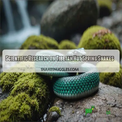 Scientific Research on Tibetan Hot Spring Snakes