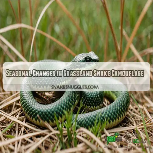 Seasonal Changes in Grassland Snake Camouflage