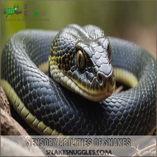 Sensory Abilities of Snakes