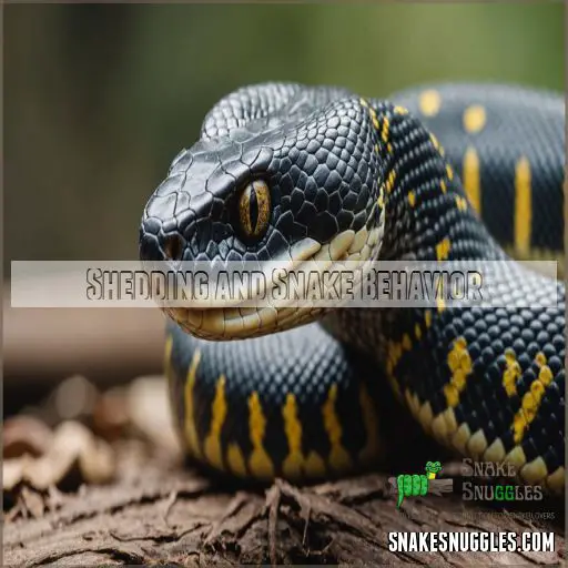 Shedding and Snake Behavior