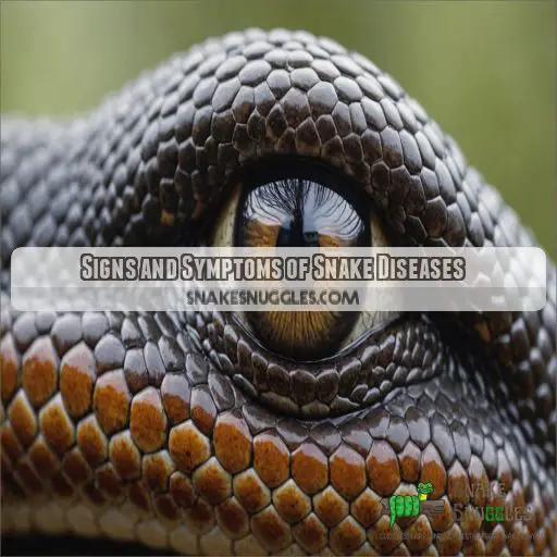 Signs and Symptoms of Snake Diseases