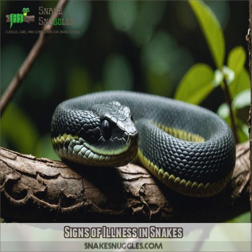 Signs of Illness in Snakes