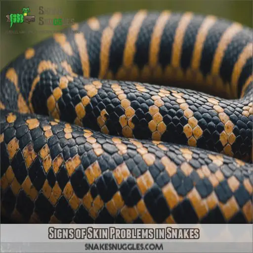 Signs of Skin Problems in Snakes