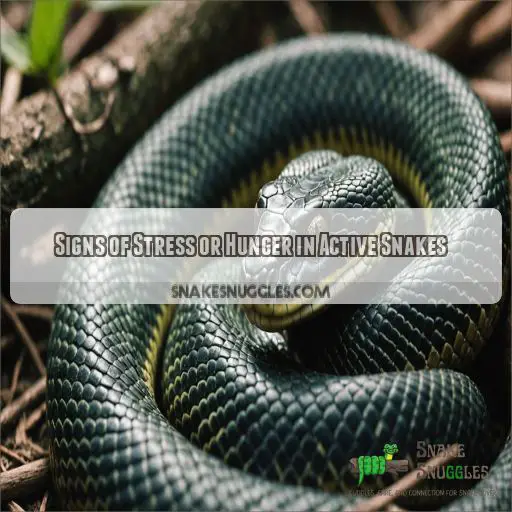 Signs of Stress or Hunger in Active Snakes