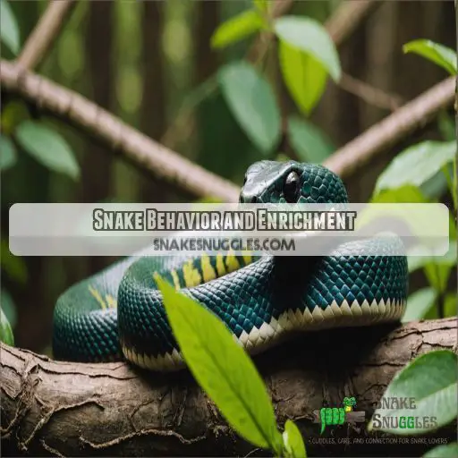 Snake Behavior and Enrichment