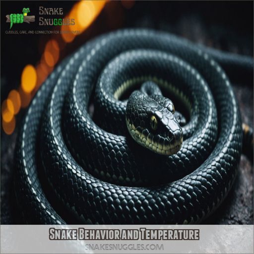 Snake Behavior and Temperature