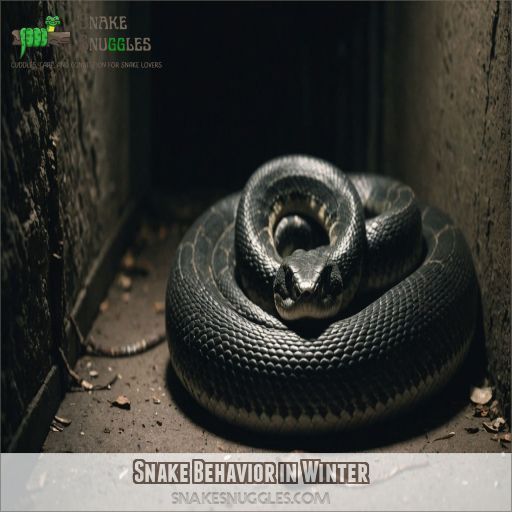 Snake Behavior in Winter