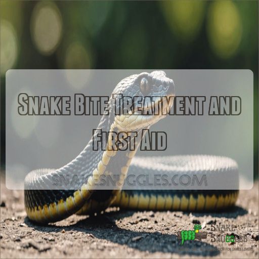 Snake Bite Treatment and First Aid