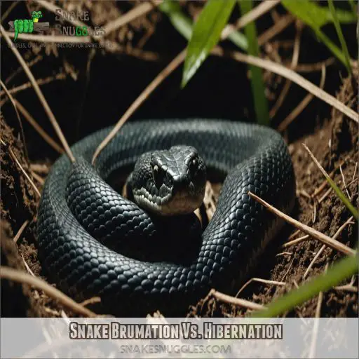 Snake Brumation Vs. Hibernation