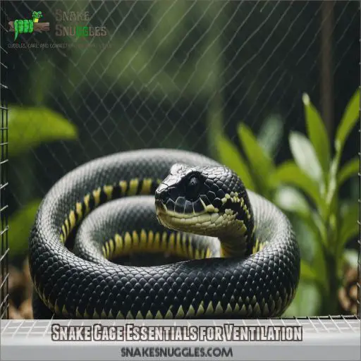 Snake Cage Essentials for Ventilation