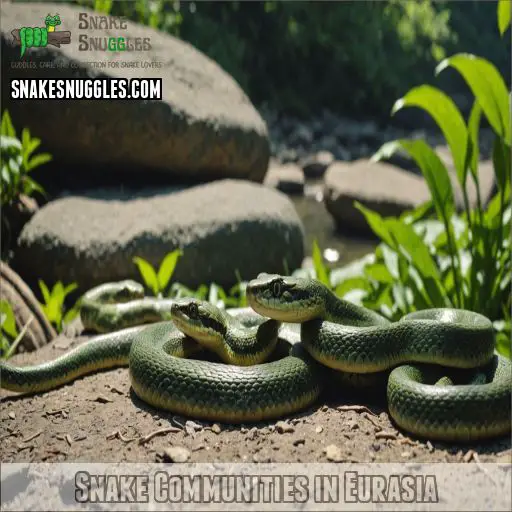 Snake Communities in Eurasia