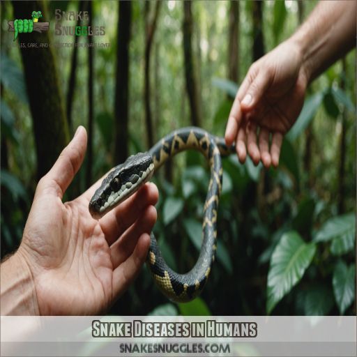 Snake Diseases in Humans