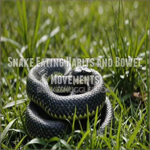 Snake Eating Habits and Bowel Movements