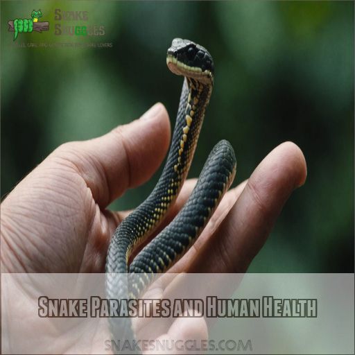 Snake Parasites and Human Health