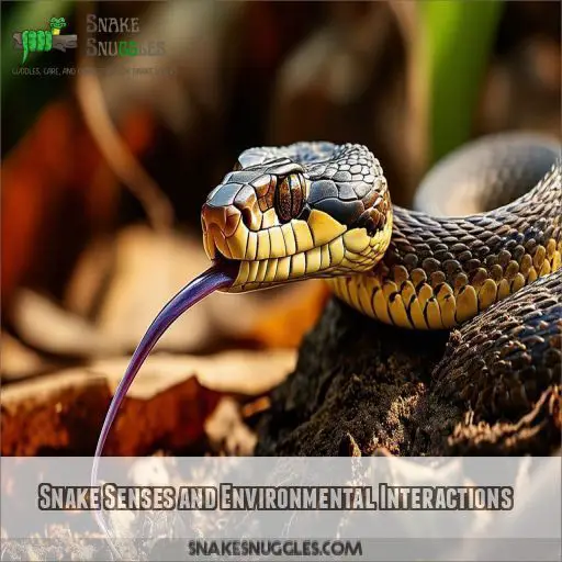 Snake Senses and Environmental Interactions