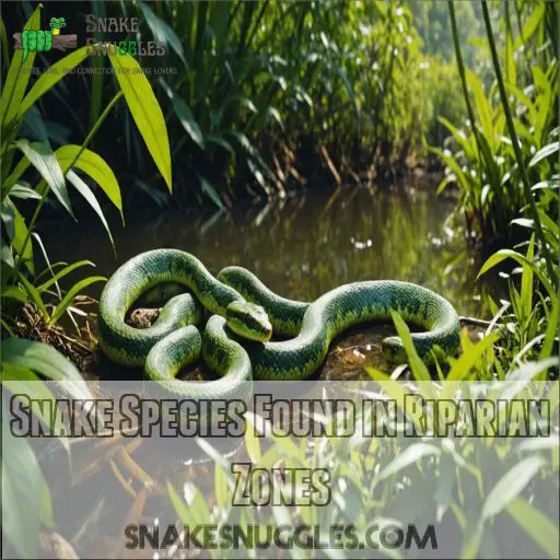 Snake Species Found in Riparian Zones