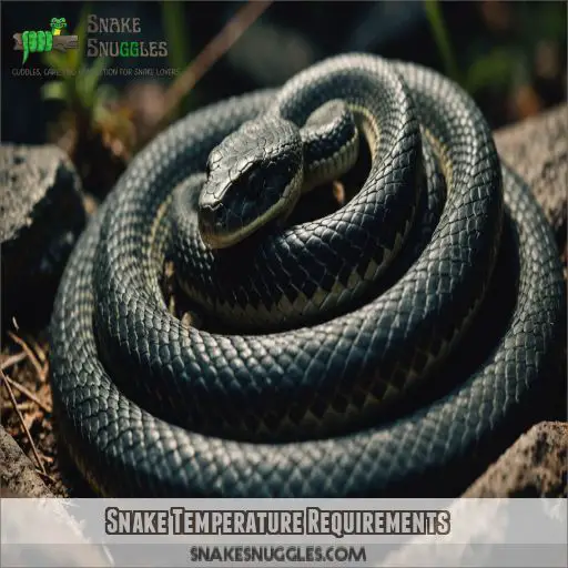 Snake Temperature Requirements