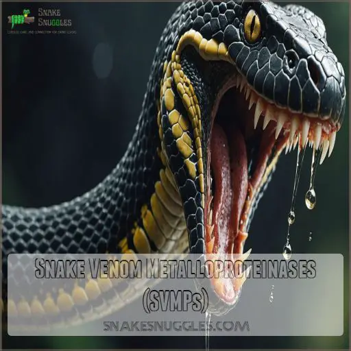 Snake Venom Metalloproteinases (SVMPs)