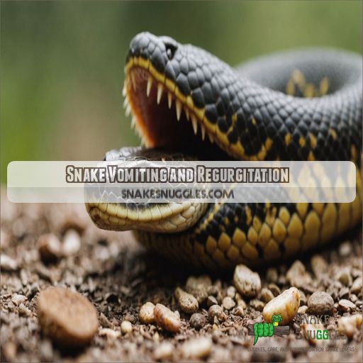 Snake Vomiting and Regurgitation