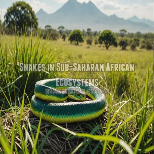 Snakes in Sub-Saharan African Ecosystems