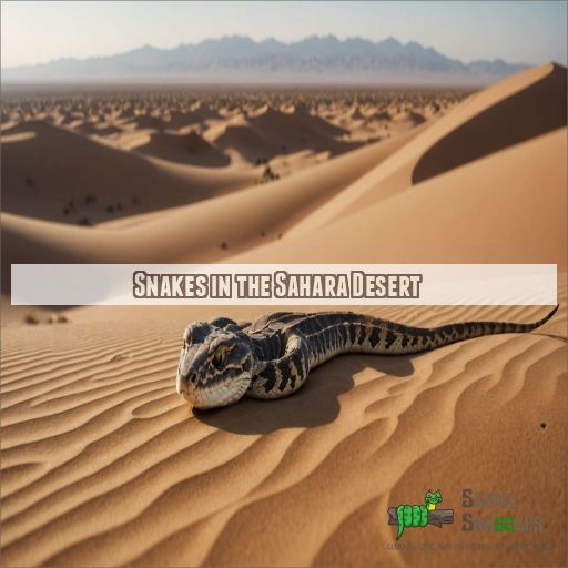 Snakes in the Sahara Desert