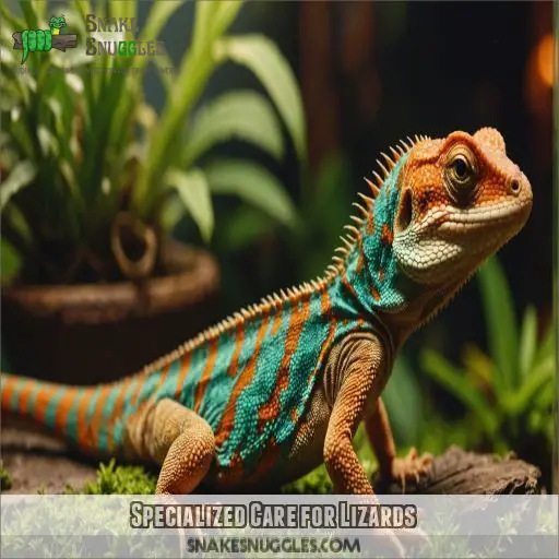 Specialized Care for Lizards