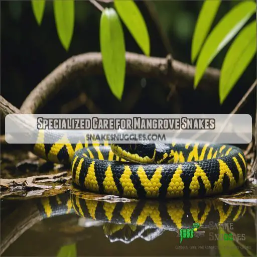 Specialized Care for Mangrove Snakes